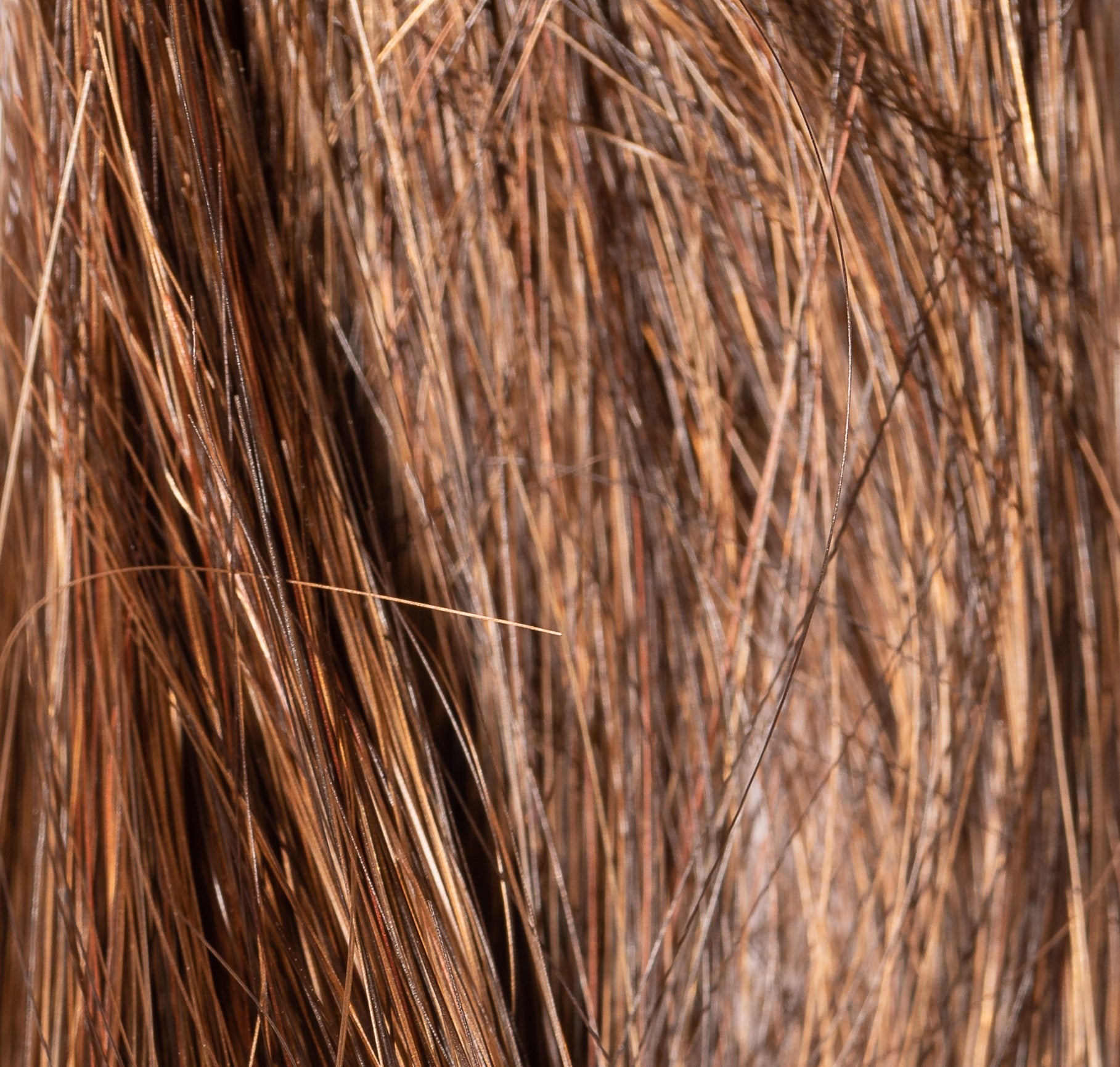 NJ Création Wig: Wanda