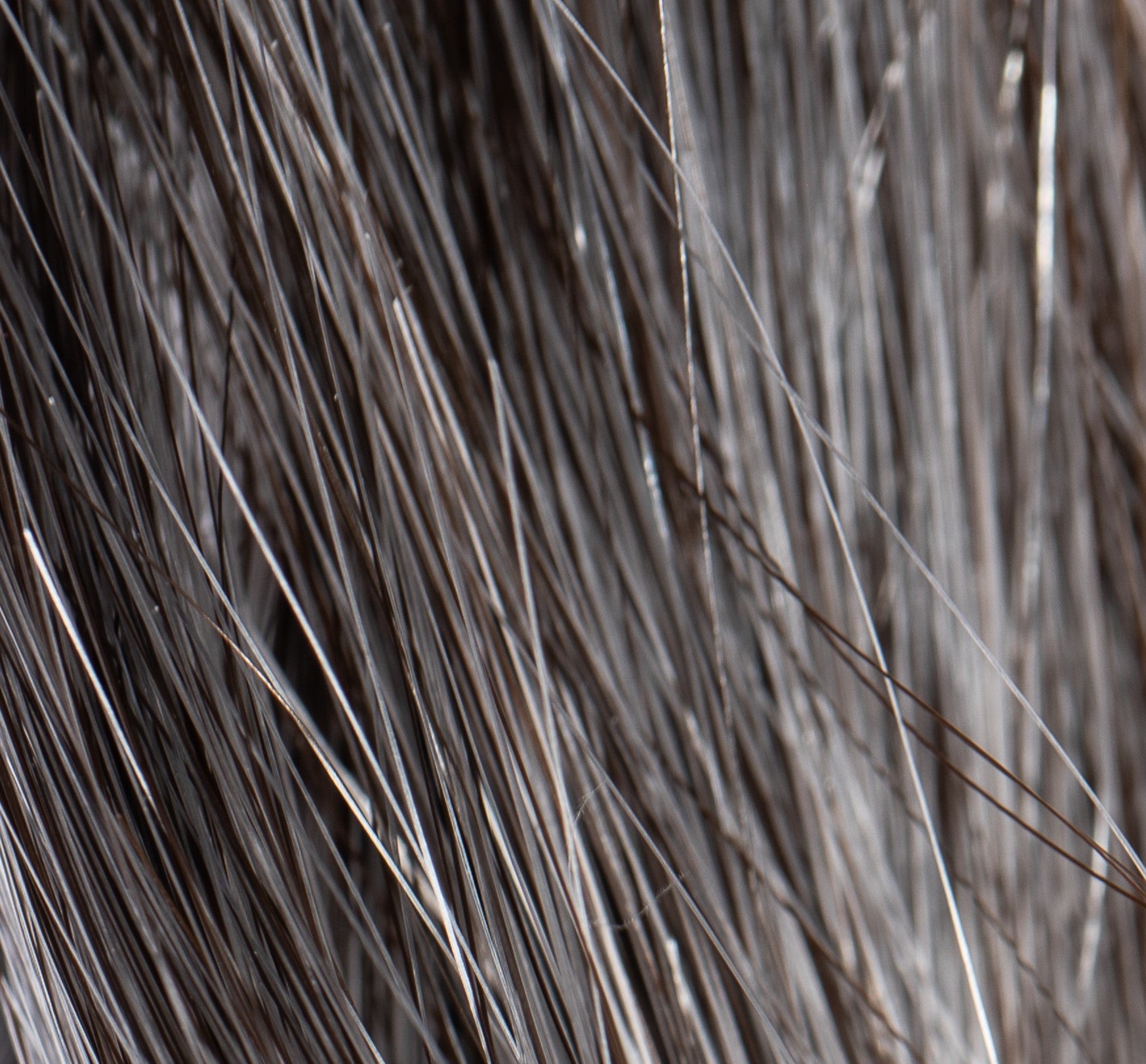 NJ Création Wig: Wanda