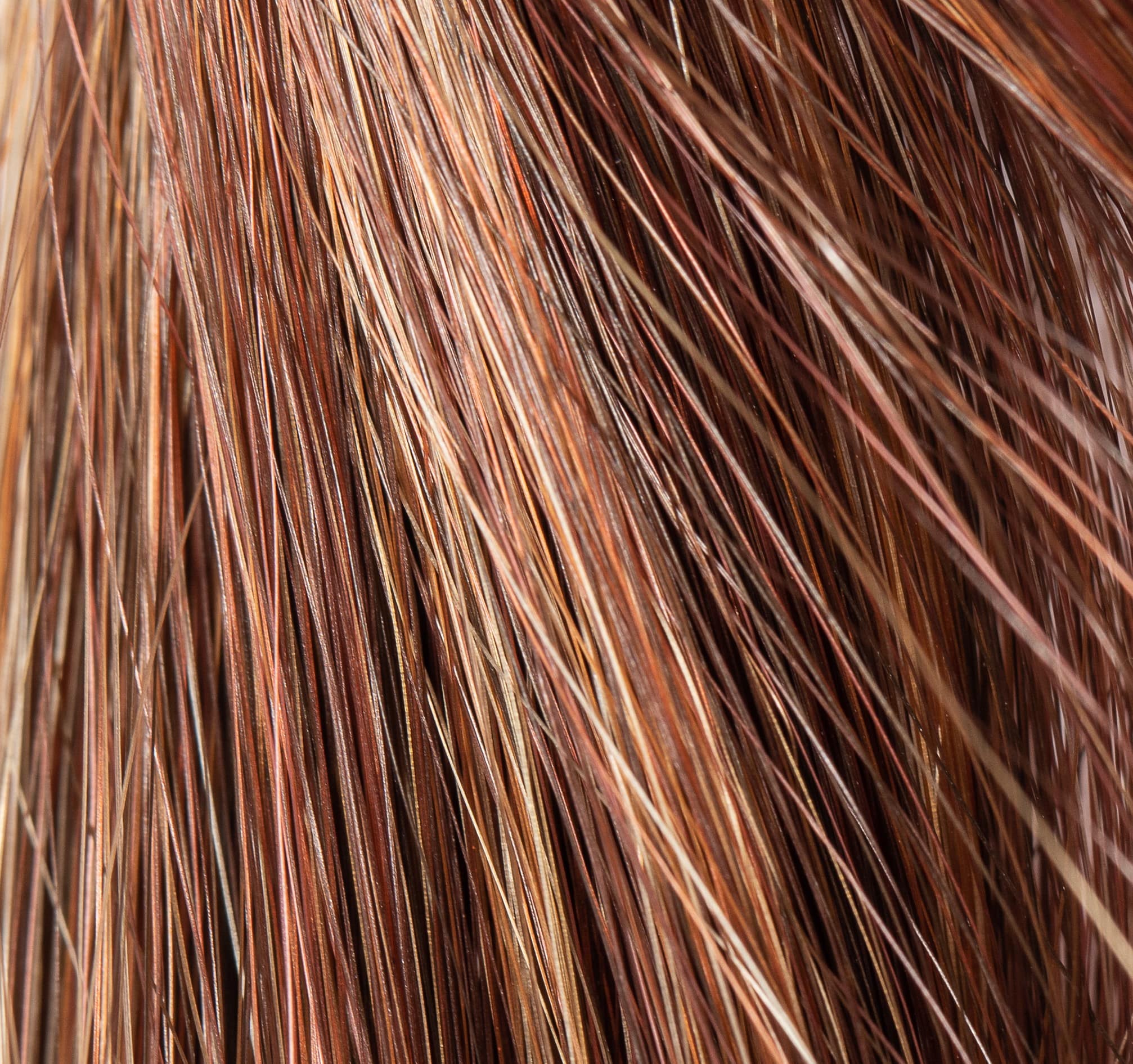 NJ Création Wig: Voyage