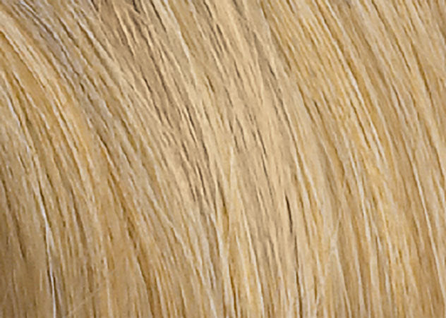 Ellen Wille Perücke: Brilliance plus Echthaar in champagne rooted