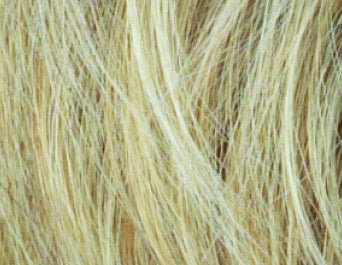 Bergmann Wig: Sarah (partial mono with skin front)