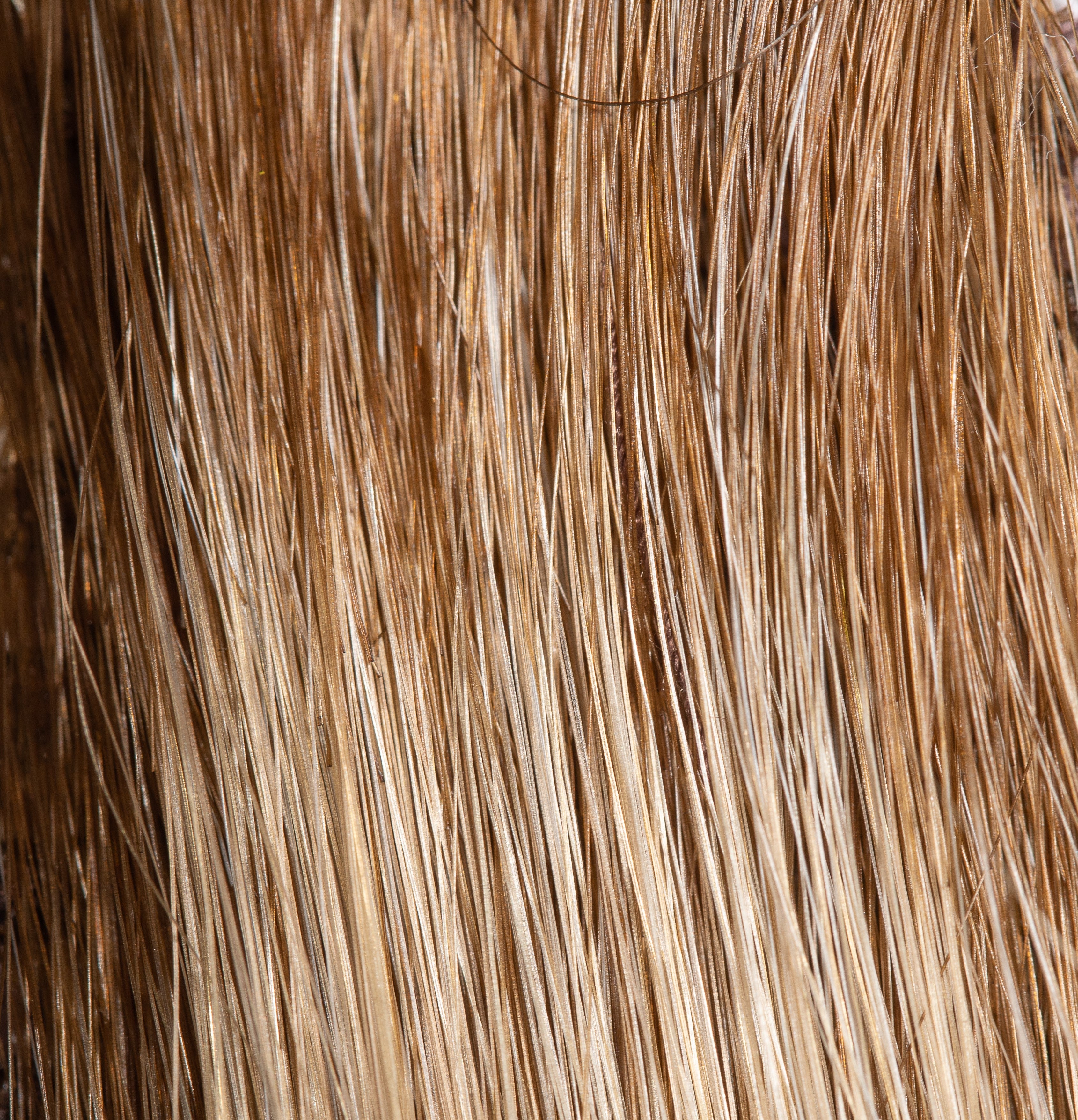 NJ Création Wig: Ophelie