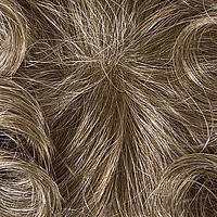 Manager Top Wig: Ben SF (size 54-56cm)